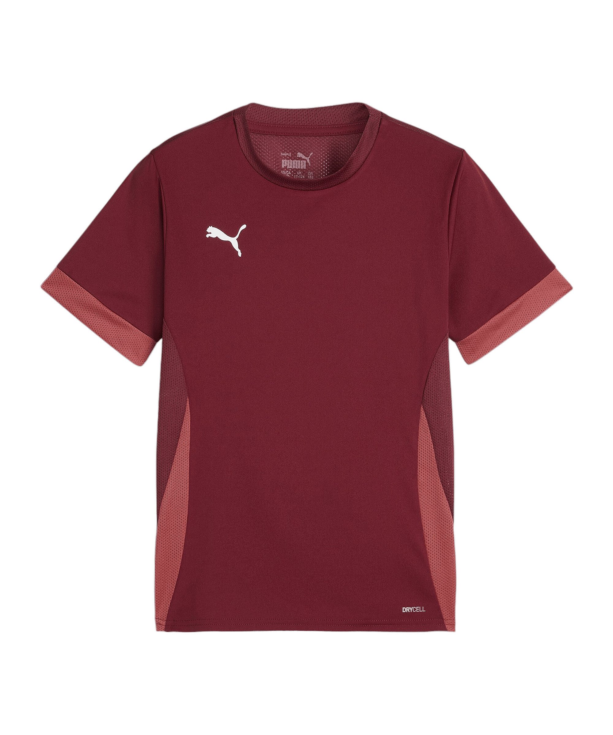 PUMA FuÃballtrikot Puma Kinder Trikot teamGOAL Matchday Jersey jr 705748